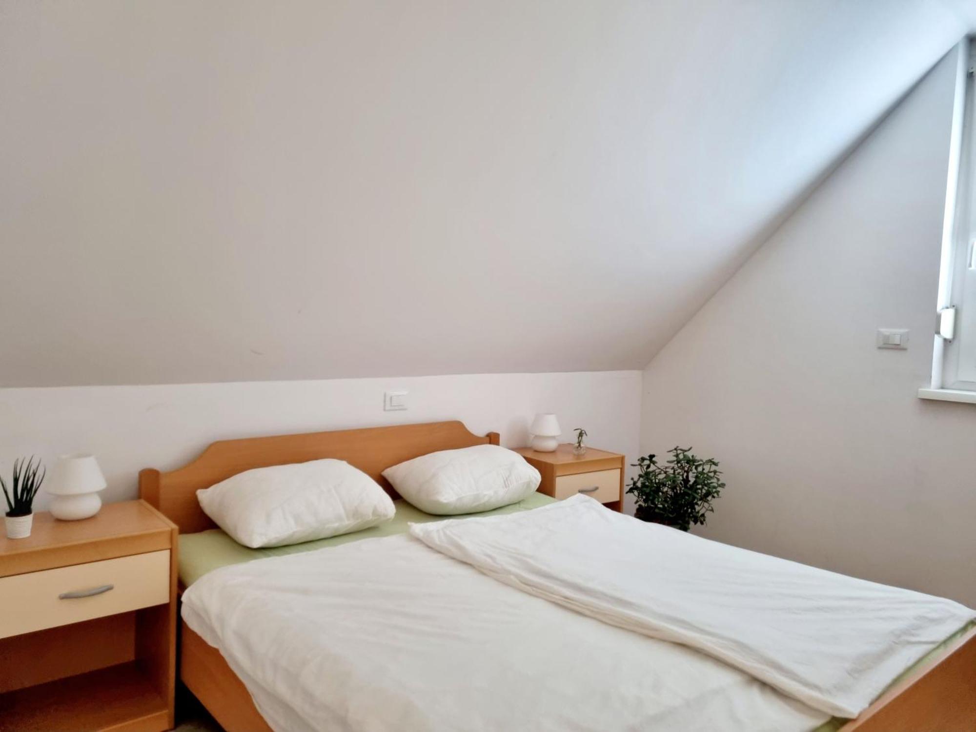 Apartmaji Pri Ticelnu Bovec Εξωτερικό φωτογραφία